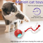 Pet Toy Automatic Rolling Ball